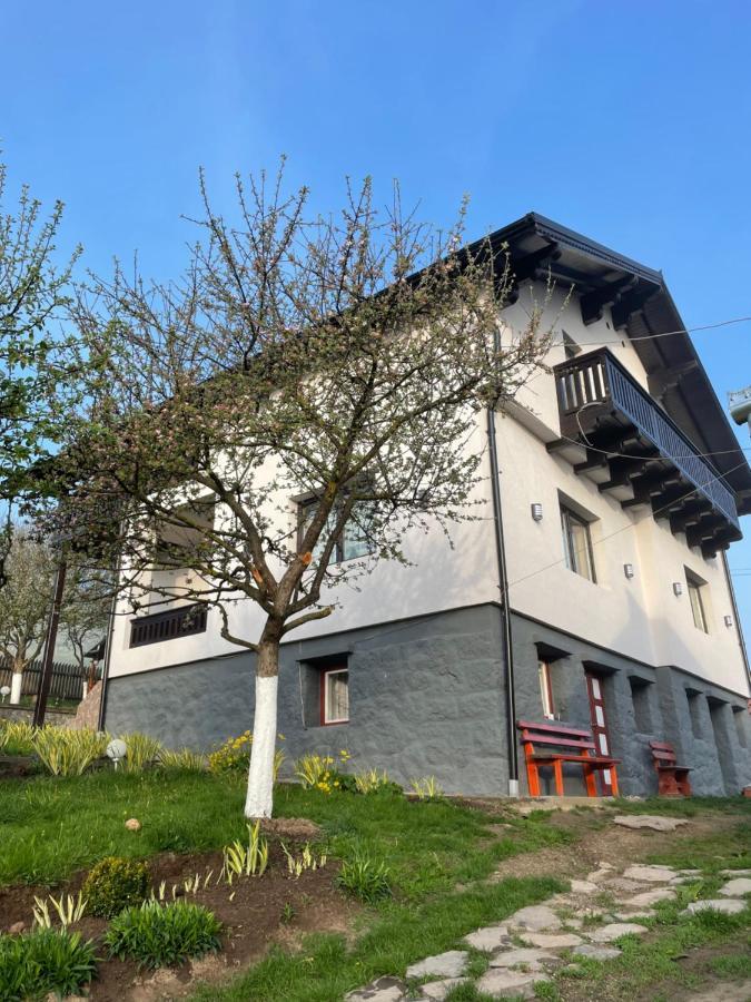 Cazare La Mitica Subcetate  Exterior photo
